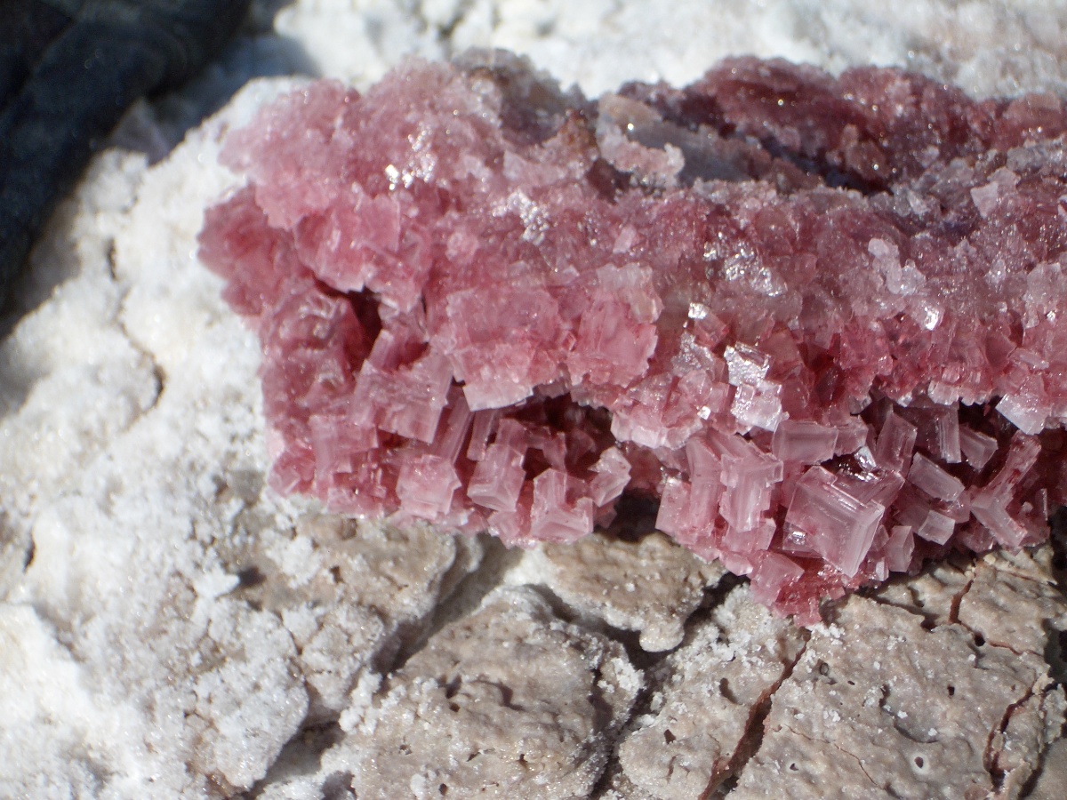 Typical Pink Halite